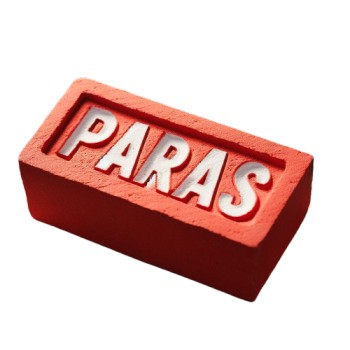 Paras bricks logo